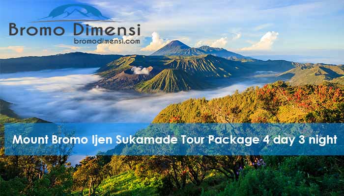 Mount Bromo Ijen Sukamade Tour Package 4 day 3 night